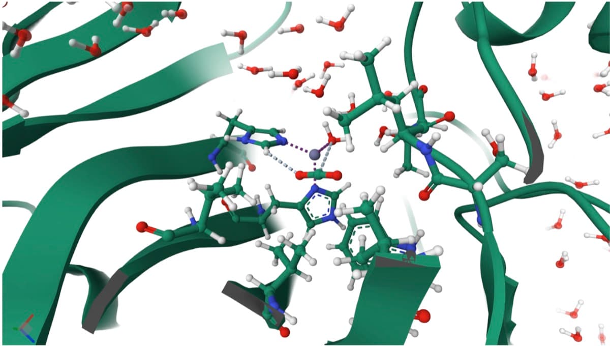 OrbMol: Extending Orb to Molecular Systems