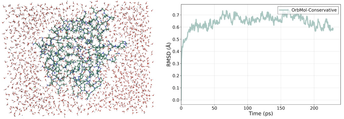 A fully solvated carbonic anhydrase II enzyme that can be stably simulated with OrbMol-conservative on a single H200 GPU. Comparison of the simulated structure and the original PDB structure of carbonic anhydrase II and the RMSD of backbone carbon atoms as a function of time, showing very low RMSD.